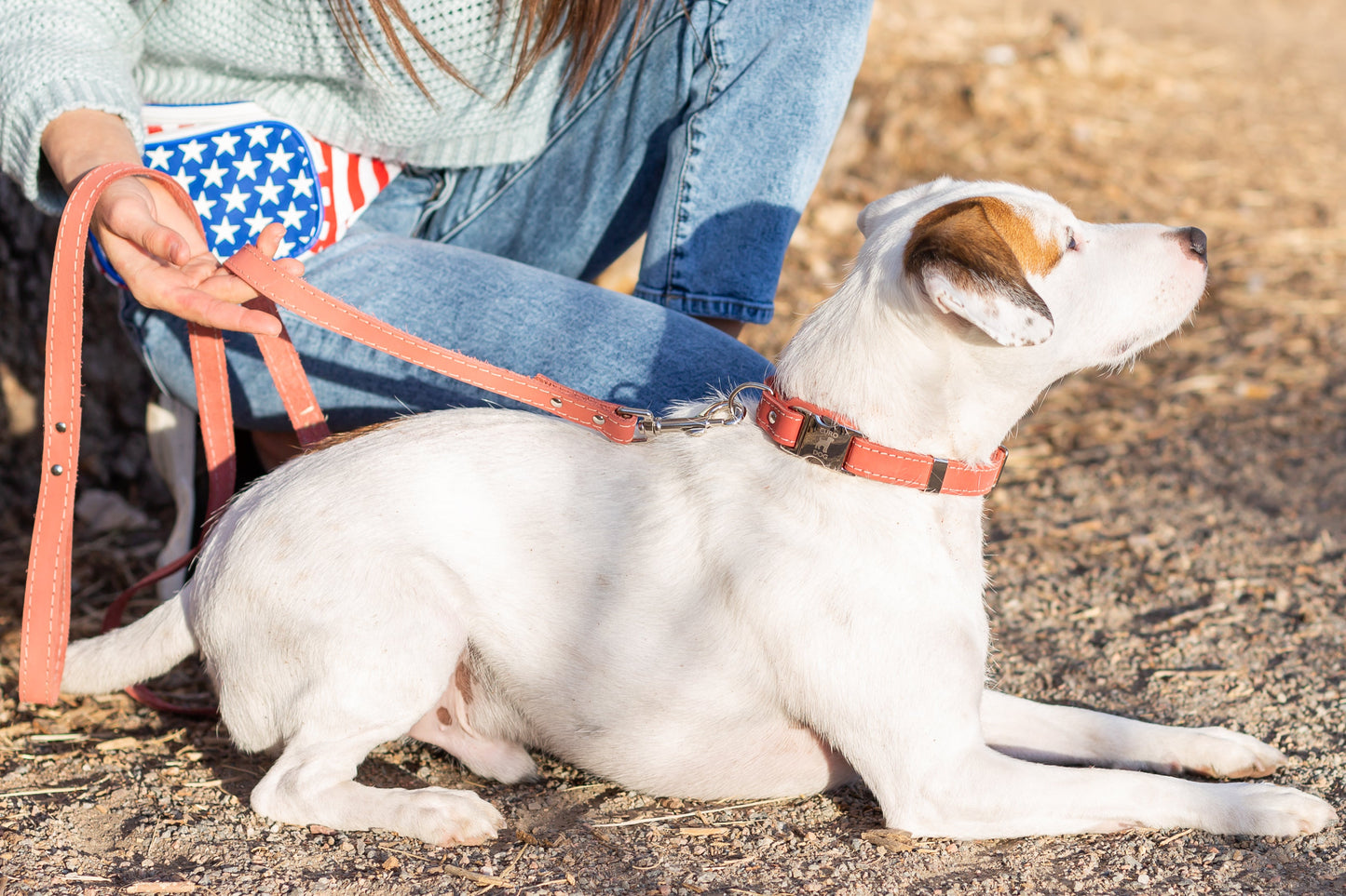 Pro Line Quick-Release Coral Reef Leather Dog Collar with Metal Buckle