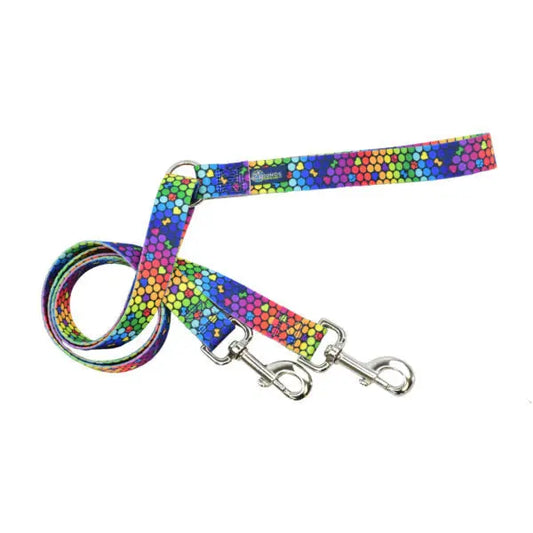 ROY G BIV Freedom No-Pull Dog Harness – EarthStyle 2 Hounds Design