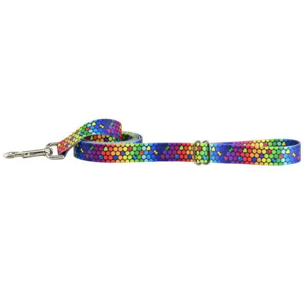 ROY G BIV Dog Leash – EarthStyle 2 Hounds Design