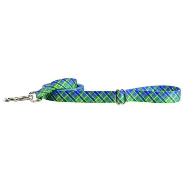 Electric Glow Green Plaid Dog Leash – EarthStyle 2 Hounds Design