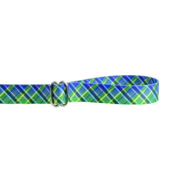Electric Glow Green Plaid Dog Leash – EarthStyle 2 Hounds Design