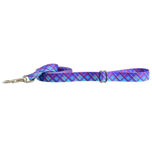 Twilight Glow Blue Plaid Dog Leash – EarthStyle 2 Hounds Design
