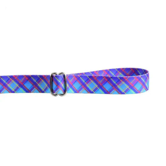 Twilight Glow Blue Plaid Dog Leash – EarthStyle 2 Hounds Design