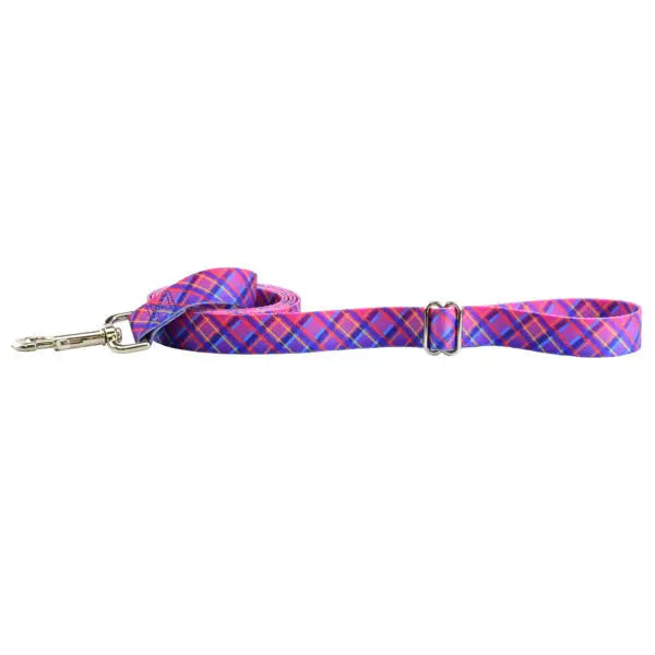 Neon Sunrise Pink Plaid Dog Leash – EarthStyle 2 Hounds Design