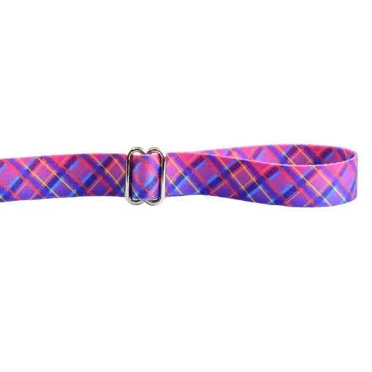 Neon Sunrise Pink Plaid Dog Leash – EarthStyle 2 Hounds Design