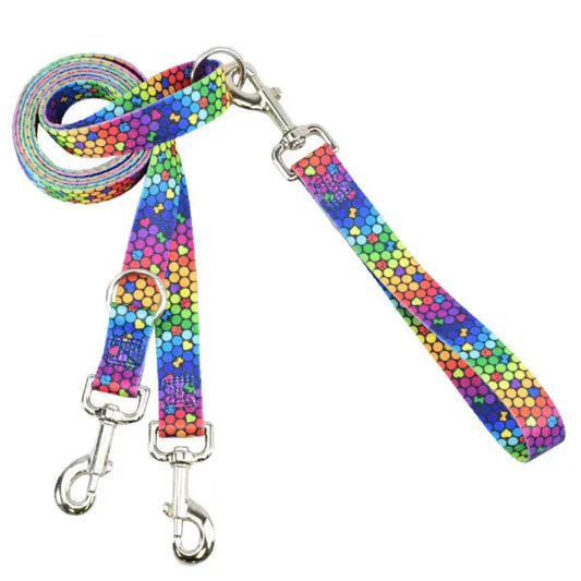 ROY G BIV Double Connection Leash – EarthStyle 2 Hounds Design