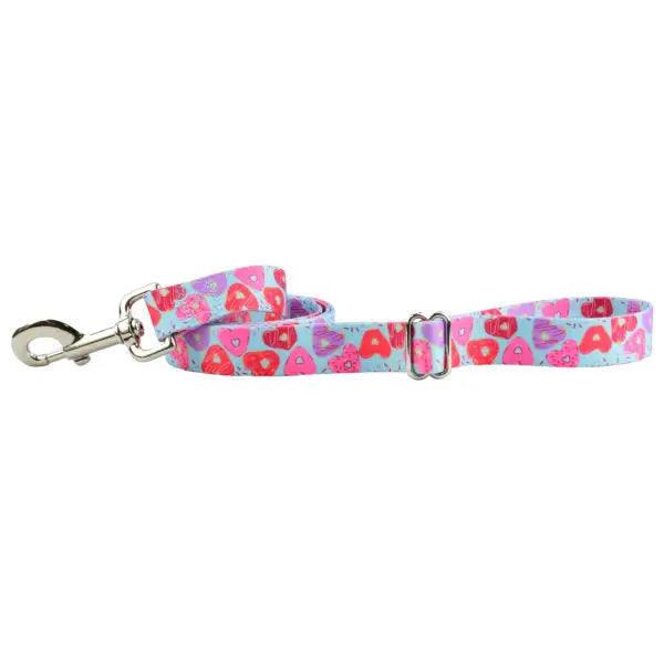 Sweet Sprinkles Heart Donut Dog Leash – EarthStyle 2 Hounds Design