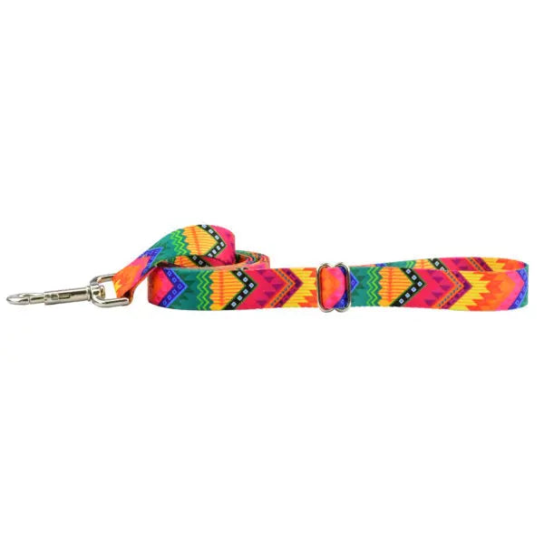 BFF (Best Friends Forever) Dog Leash – EarthStyle 2 Hounds Design