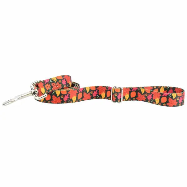 Falling Leaves Dog Leash – EarthStyle 2 Hounds Design
