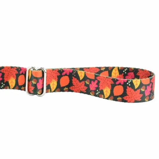 Falling Leaves Dog Leash – EarthStyle 2 Hounds Design