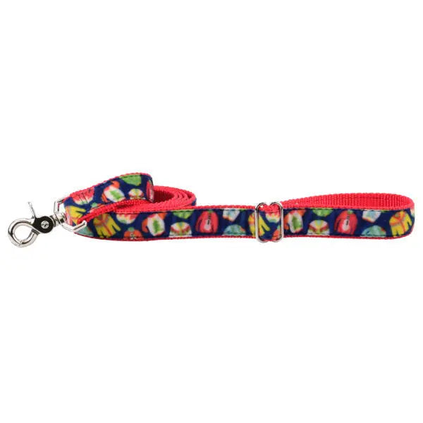 Cozy Sweaters Velvet Dog Leash (1″ Only) 2 Hounds Design