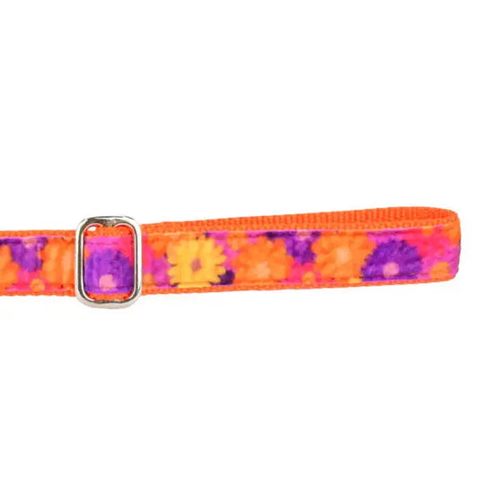 Gerbera Daisy Velvet Dog Leash (1″ Only) 2 Hounds Design