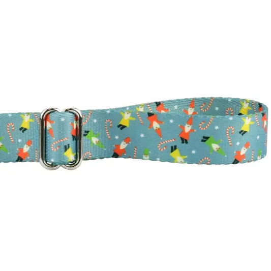 Jolly Gnomes Dog Leash – EarthStyle 2 Hounds Design