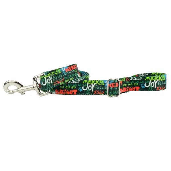 Holiday Graffiti Dog Leash – EarthStyle 2 Hounds Design