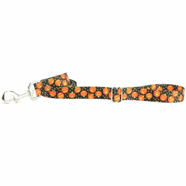 Jack O Lantern Dog Leash – EarthStyle 2 Hounds Design