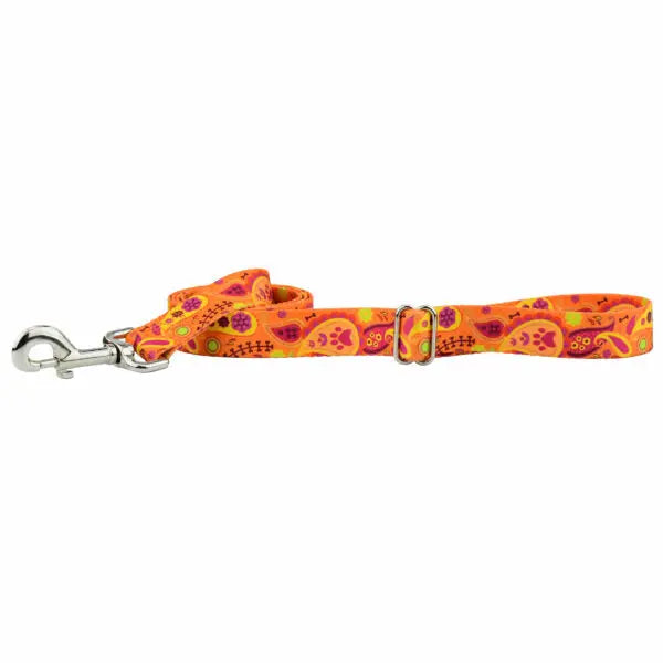 Orange Paisley Dog Leash – EarthStyle 2 Hounds Design