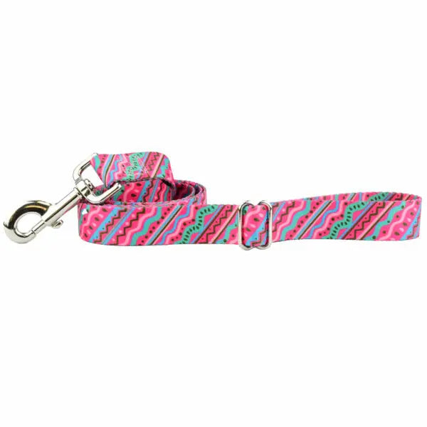 1980s Dog Leash – EarthStyle 2 Hounds Design