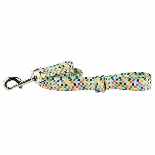 Indy Flag Dog Leash – EarthStyle 2 Hounds Design