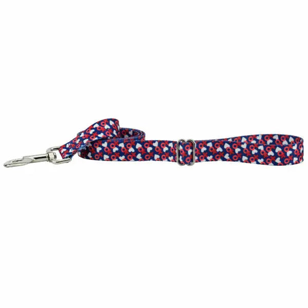XO Dog Leash – EarthStyle 2 Hounds Design