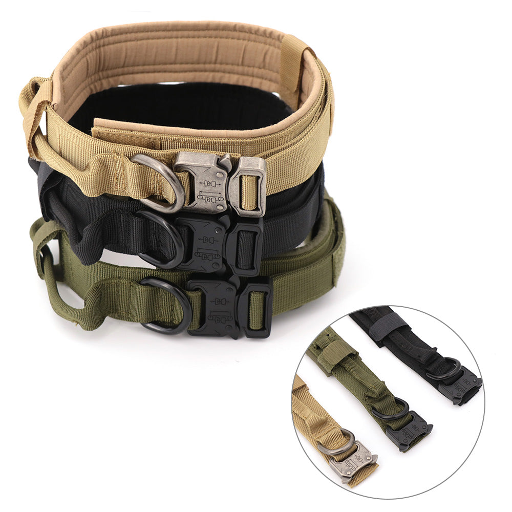 Breakaway 1.5 Dog Collar