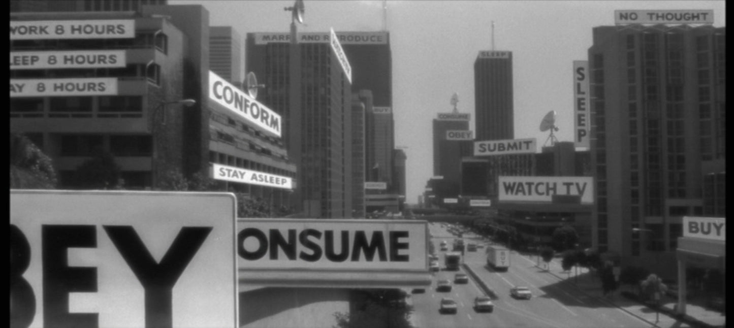 Colombia Single Origin Coffee (Light-Medium Roast) - "They Live"