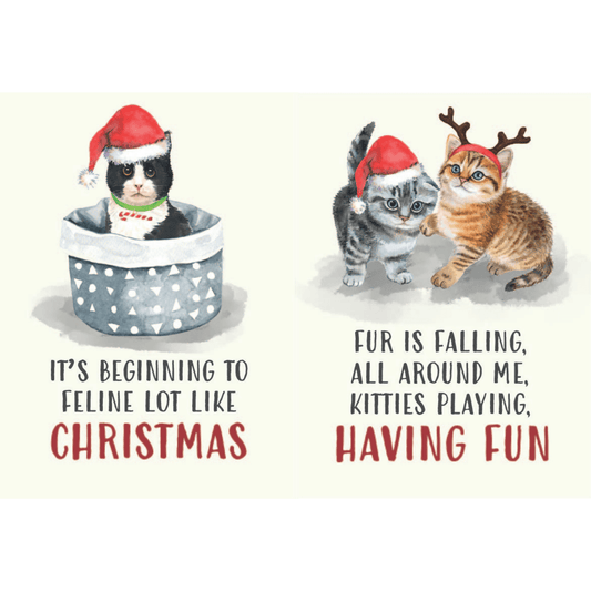 All I Want For Christmas Is More Cats Gift Books - Cat Gifts