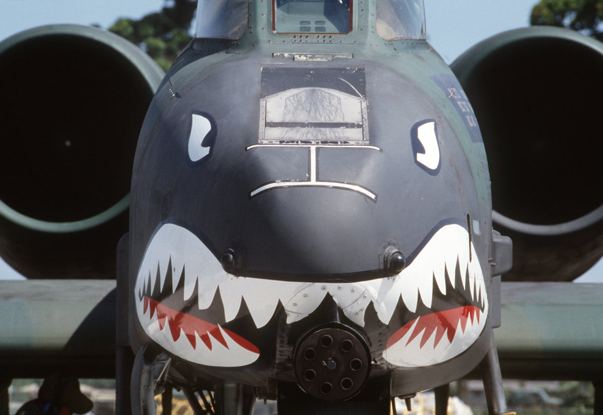 A-10 Freedom Delivered