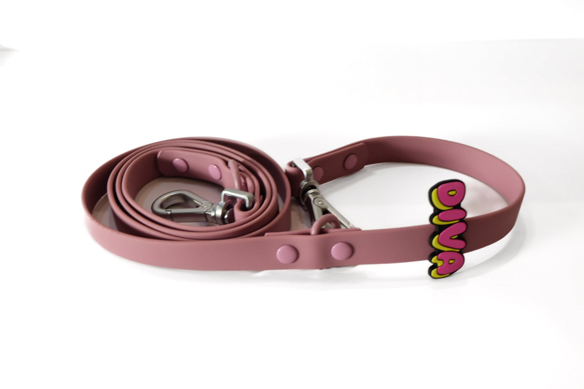 Collar & Leash Tabs