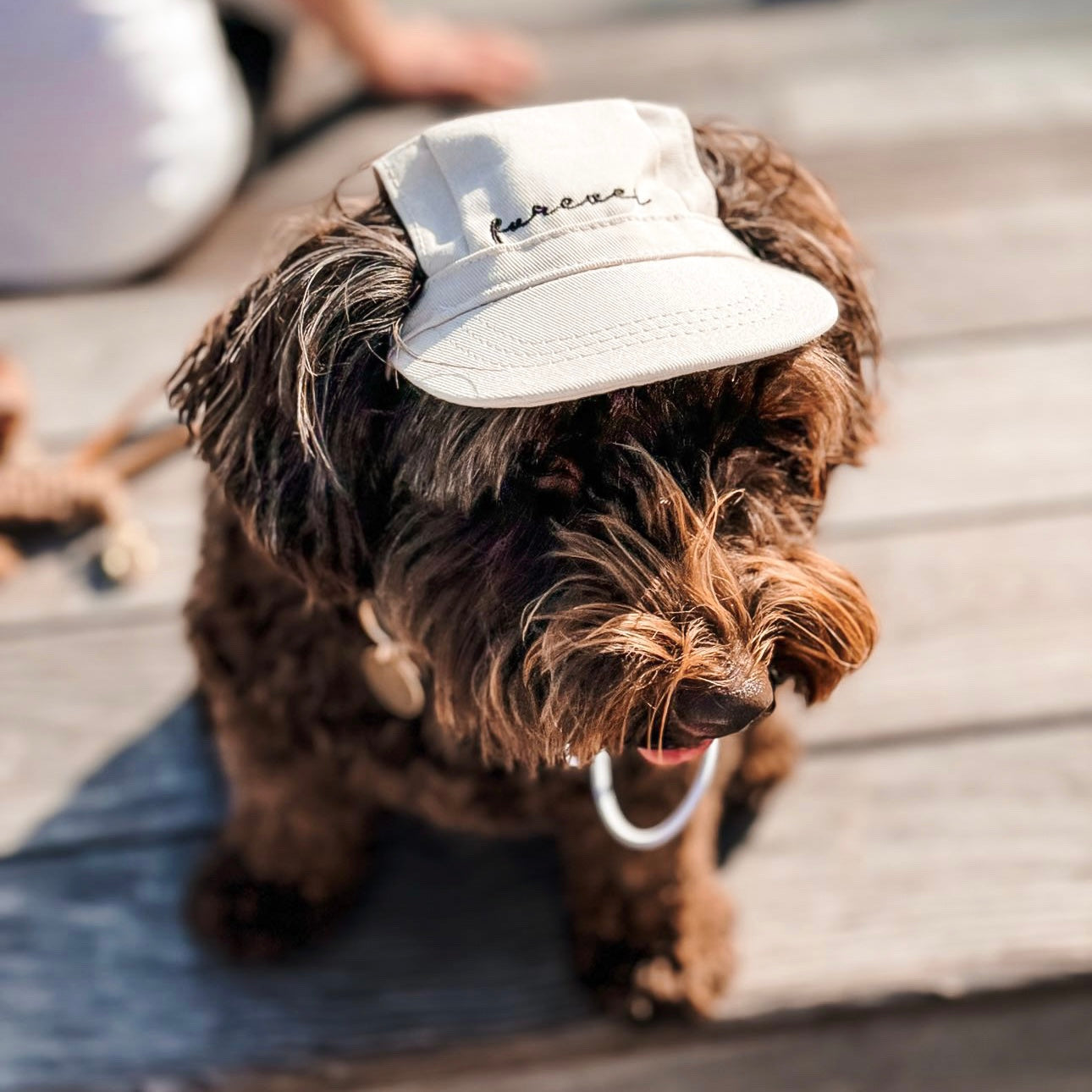 Furever Pet Hat