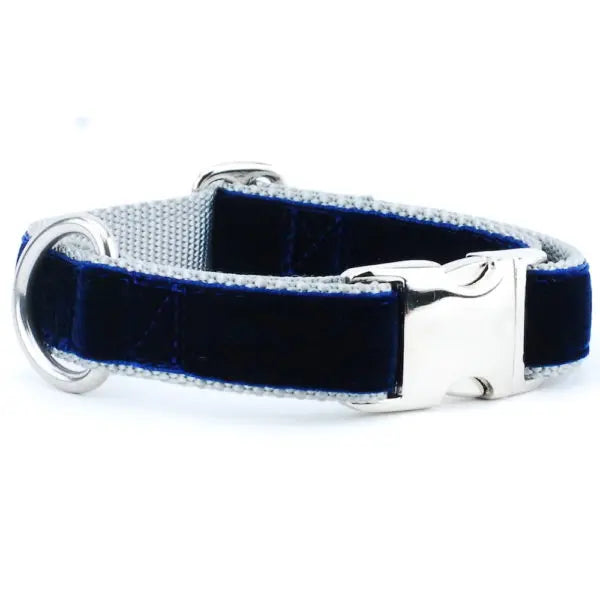 Navy/Silver Holiday Velvet Essential Buckle Martingale Dog Collar 2 Hounds Design