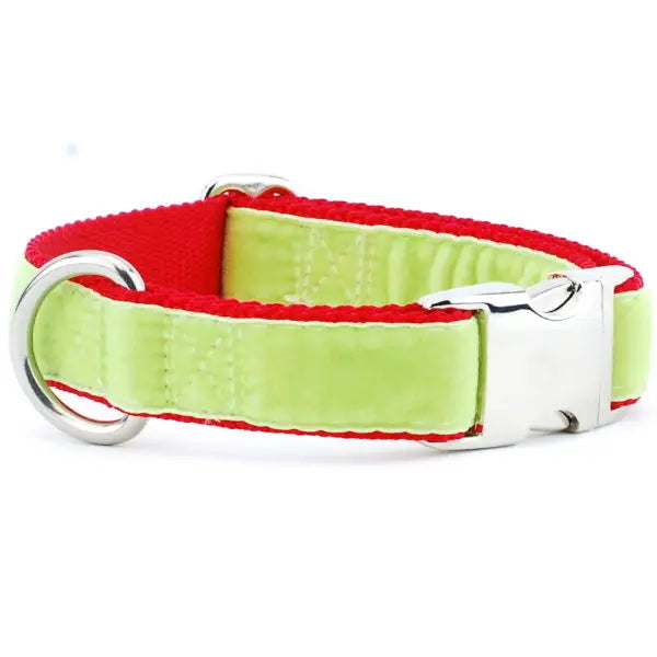 Lime Green/Red Holiday Velvet Essential Buckle Martingale Dog Collar 2 Hounds Design