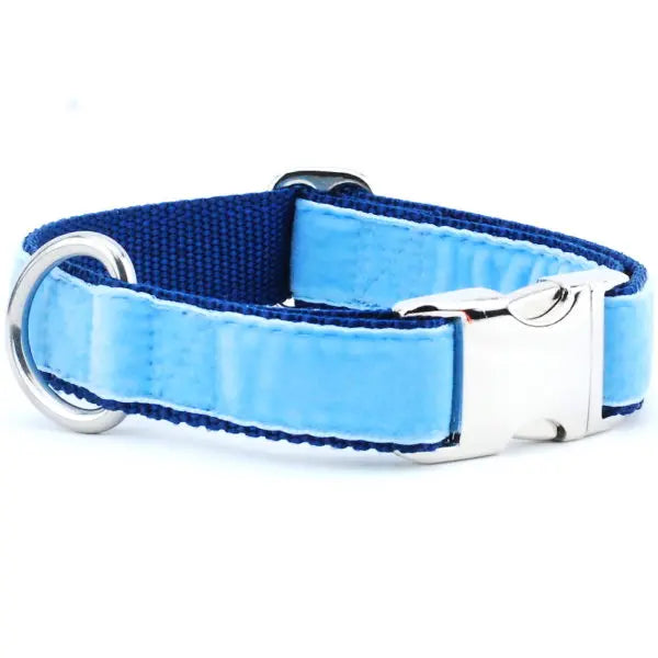 Light Blue/Navy Holiday Velvet Essential Martingale Dog Collar 2 Hounds Design