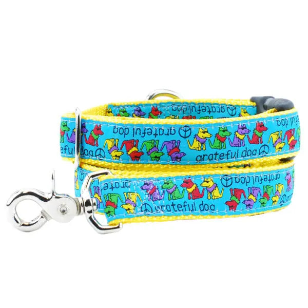 1″ Grateful Dog Teddy The Dog Essential Buckle Martingale Dog Collar 2 Hounds Design