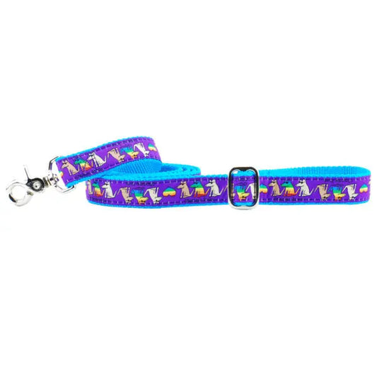 1″ Choose Love Teddy The Dog Ribbon Dog Leash 2 Hounds Design