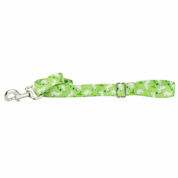 Lucky Dog Leash – EarthStyle 2 Hounds Design