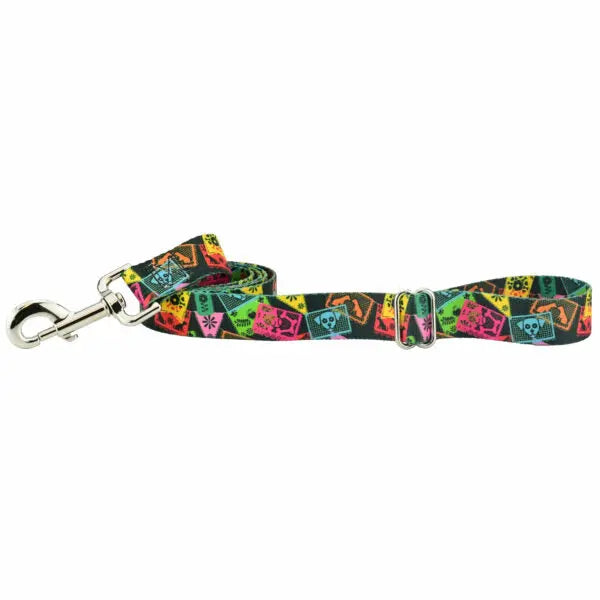 Paper Flags Dog Leash – EarthStyle 2 Hounds Design