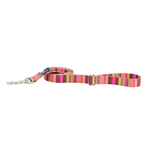Bonnie Dog Leash – EarthStyle 2 Hounds Design