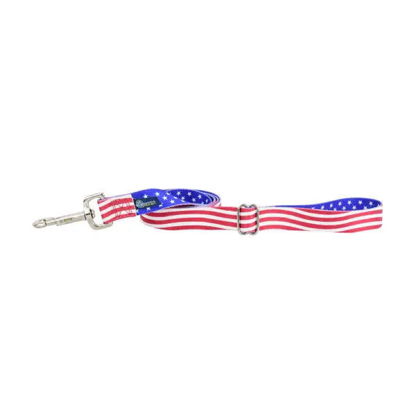 Star Spangled Dog Leash – EarthStyle 2 Hounds Design