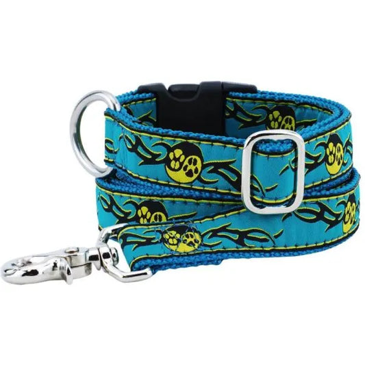 1″ Paw Yang Teal Essential Buckle Martingale Dog Collar 2 Hounds Design