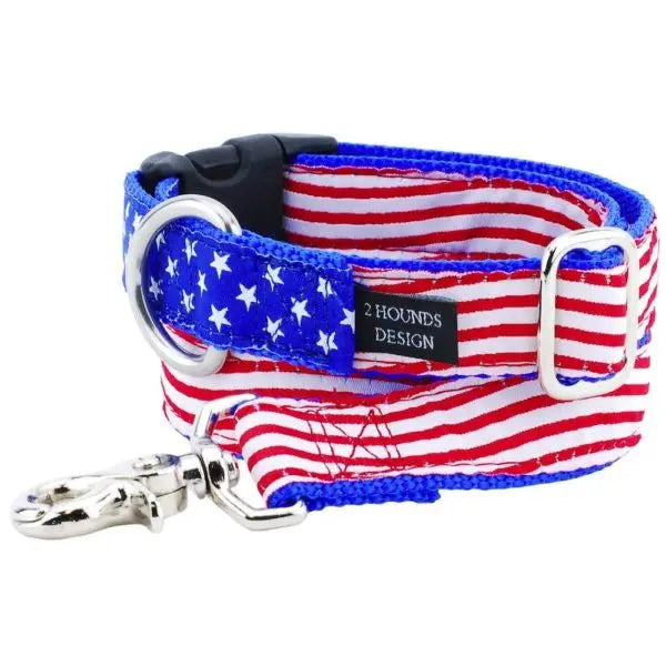 1″ Stars and Stripes Essential Buckle Martingale Dog Collar 2 Hounds Design