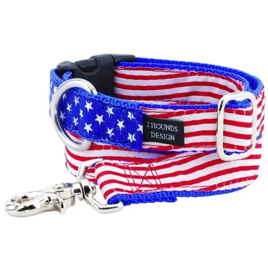 1″ Stars and Stripes Essential Buckle Martingale Dog Collar 2 Hounds Design