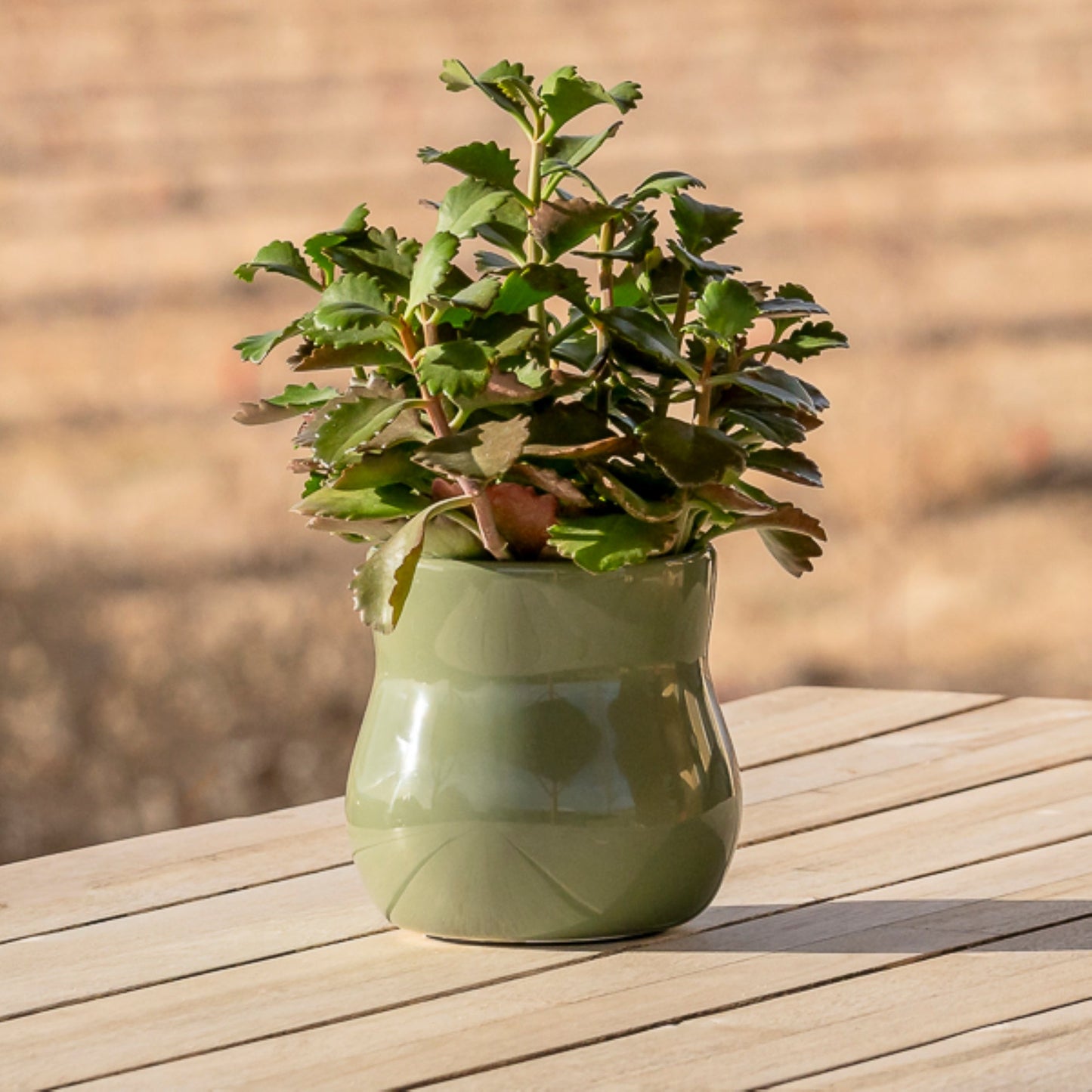 Ceramic Plant Pot with Rubber Liner - Forest Green
