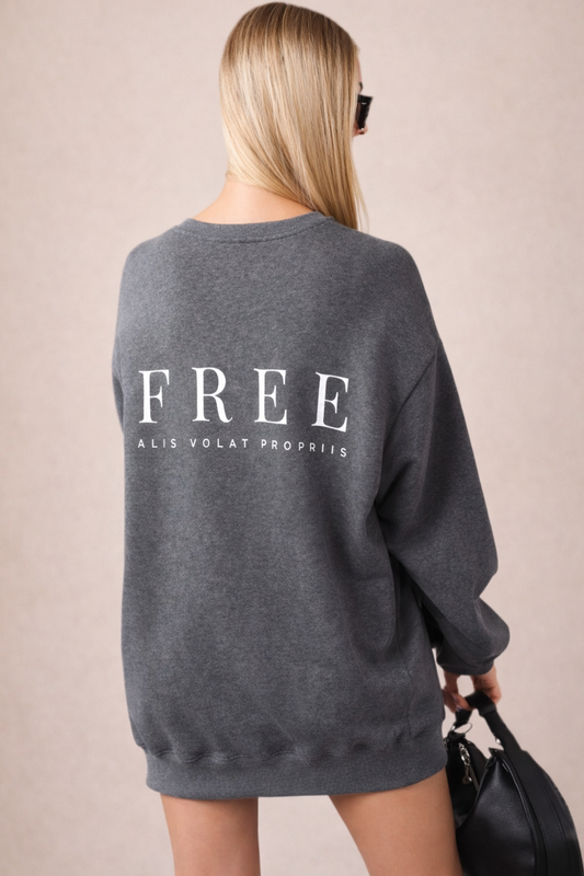 Oversized Sweatshirt Dress - Heather Gray
