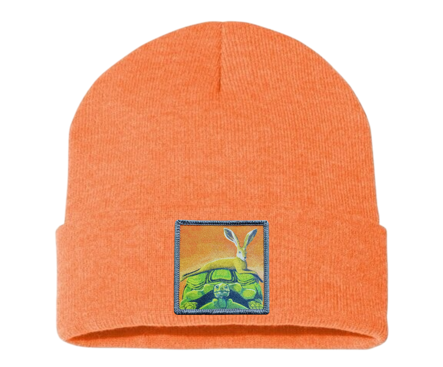 The Tortoise By a Hare Beanie