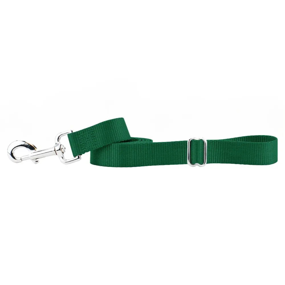 Kelly Green Nylon Dog Leash 2 Hounds Design