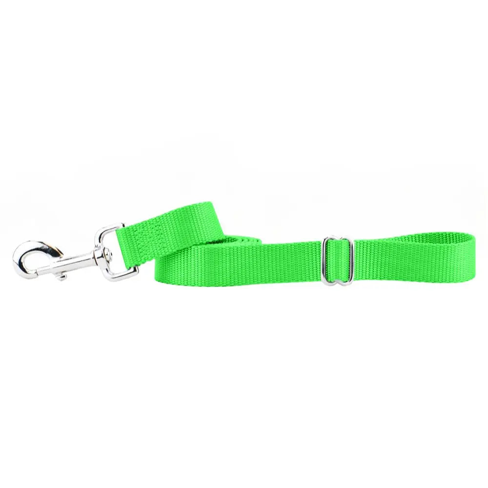 Neon Green Nylon Dog Leash 2 Hounds Design