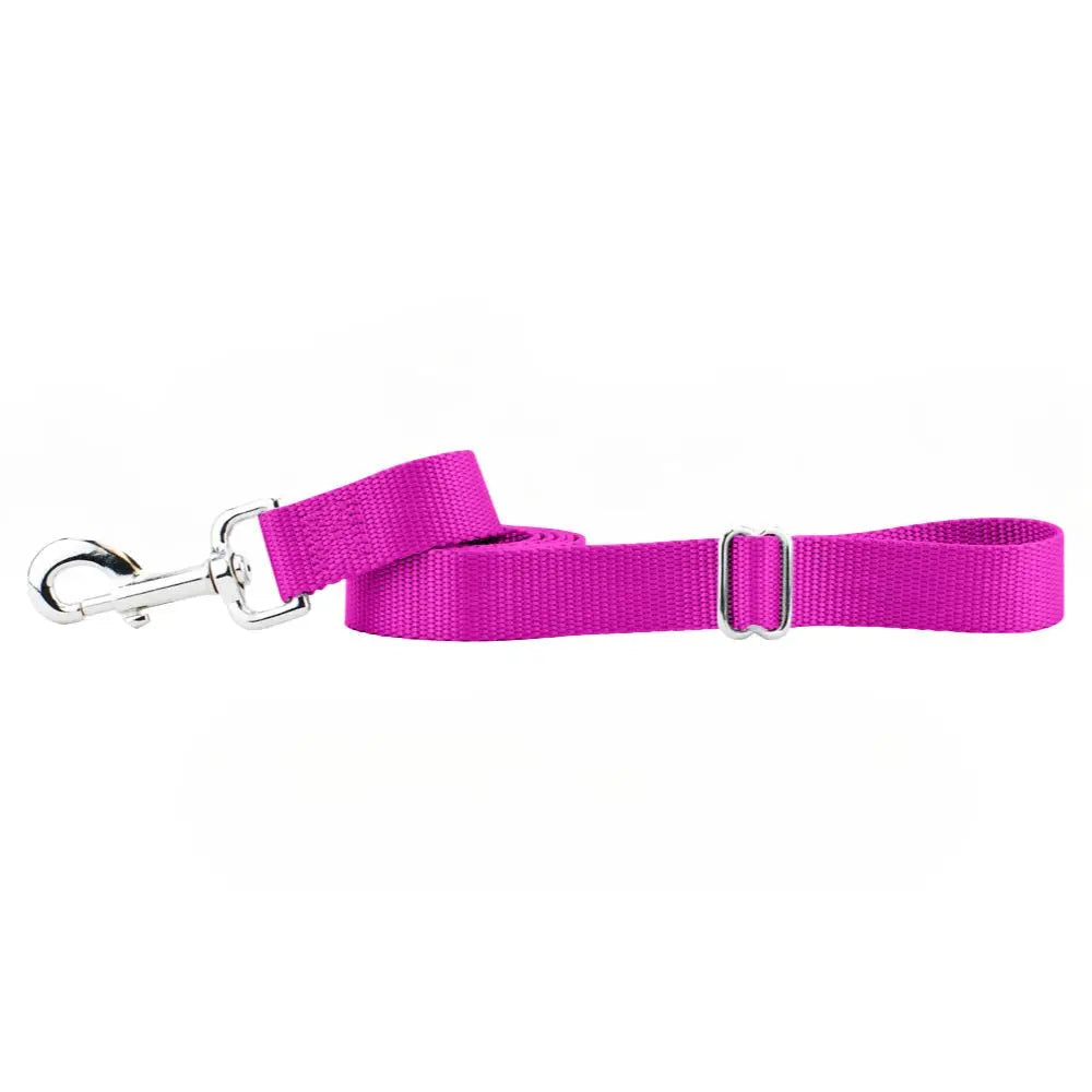 Raspberry Nylon Dog Leash 2 Hounds Design