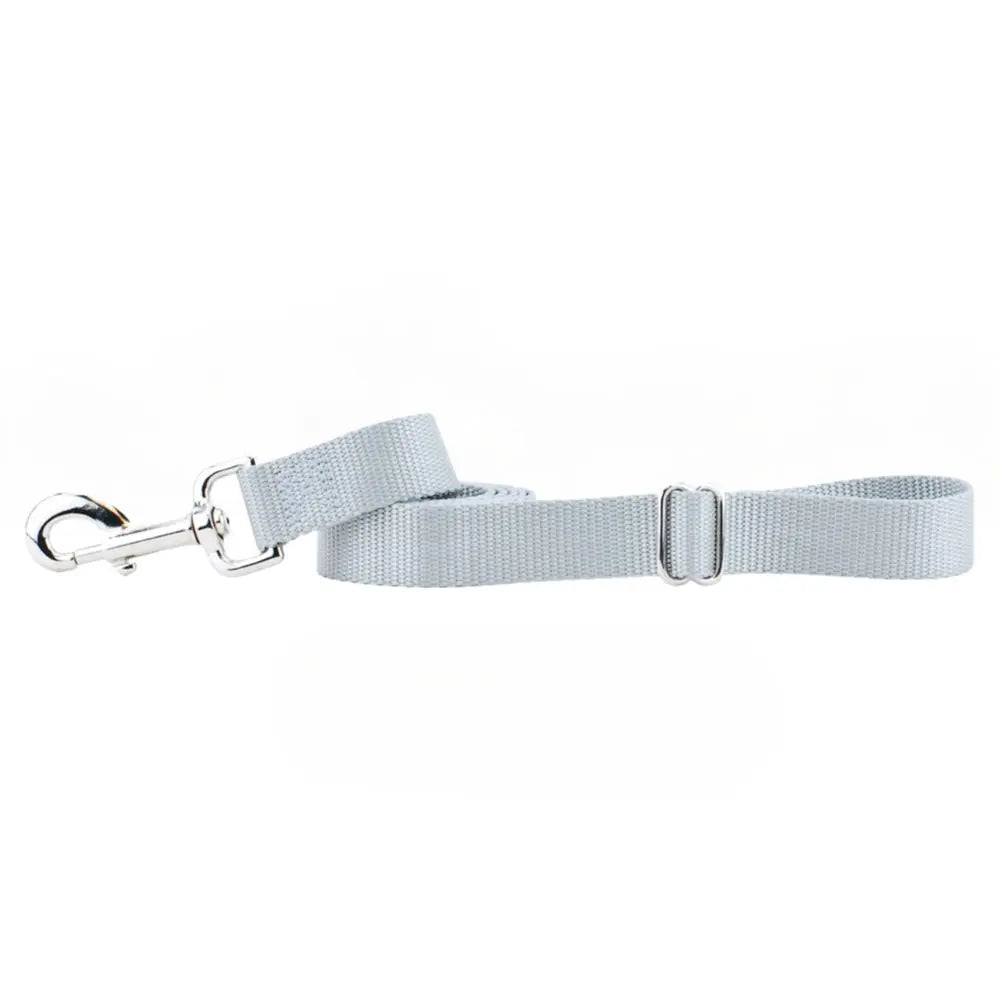 Silver Nylon Dog Leash 2 Hounds Design