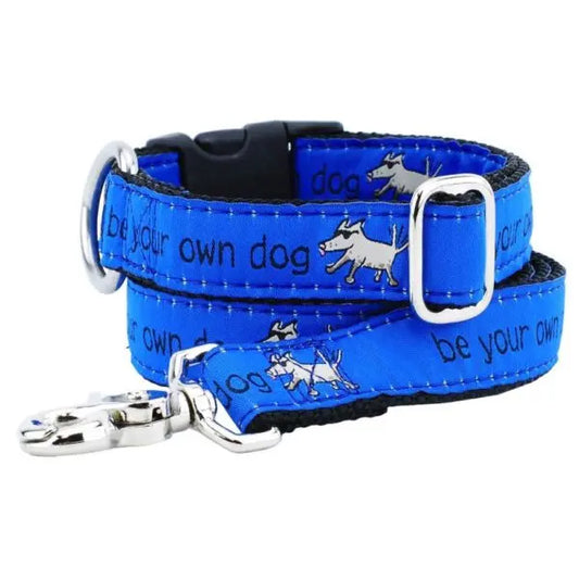 1″ Be Your Own Dog Teddy The Dog – Blue Essential Buckle Martingale Dog Collar 2 Hounds Design