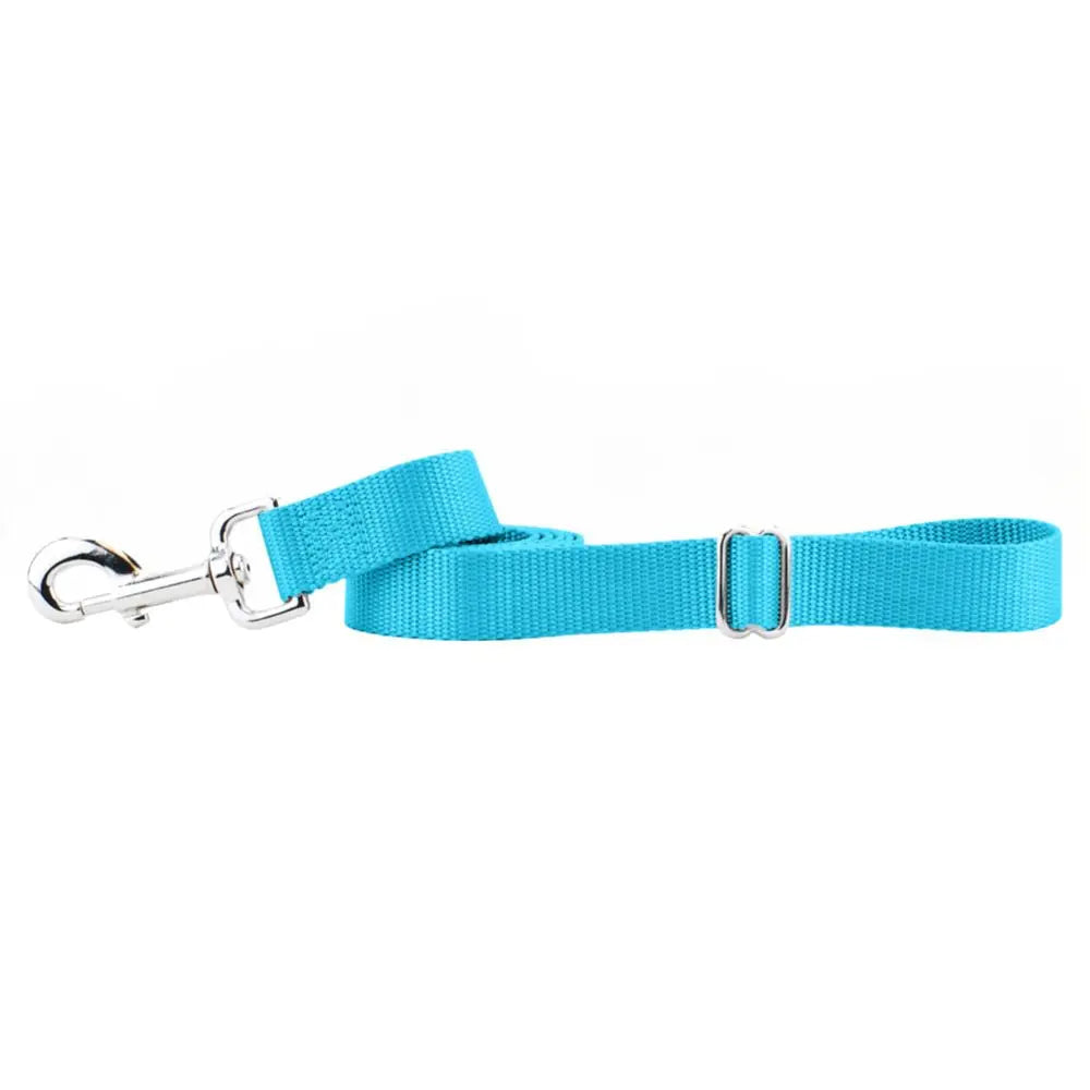 Turquoise Nylon Dog Leash 2 Hounds Design